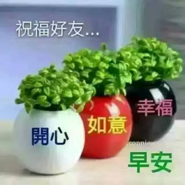 [综合交流] 早上好,新年的假期过 - [来自微信社区]
