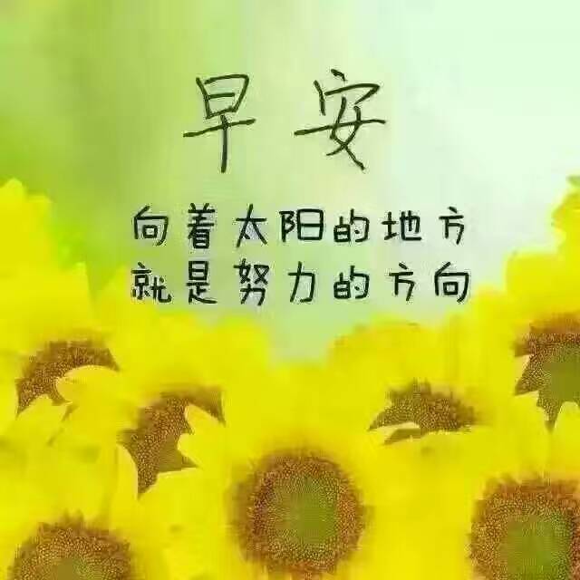 [综合交流] 各位跑友们大家早上好 - [来自微信社区]