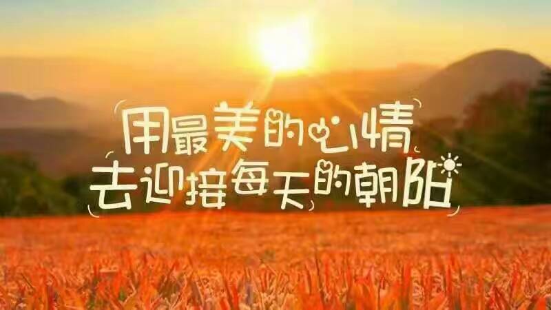 簲簲簲-[]