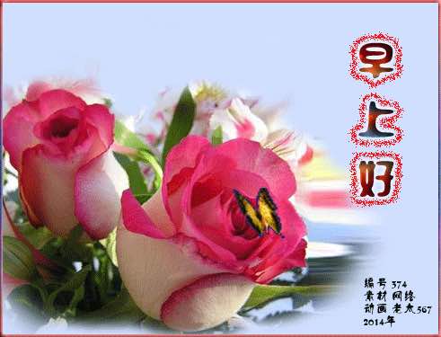 哈喽甜甜,早上好啊  飞飞,……早上好